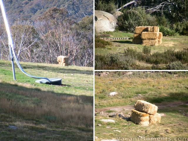 Hay, not for the horses but to cover the bike tracks