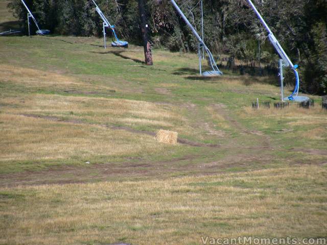 More hoses and hay  I wonder if the brumbies know about it?