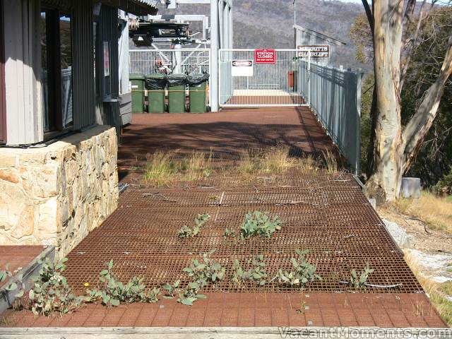 Top station on Merritts chair being reclaimed by nature