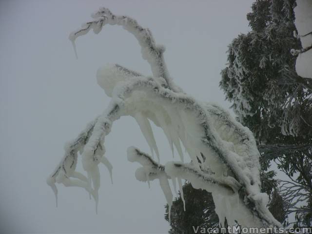 Ice monster