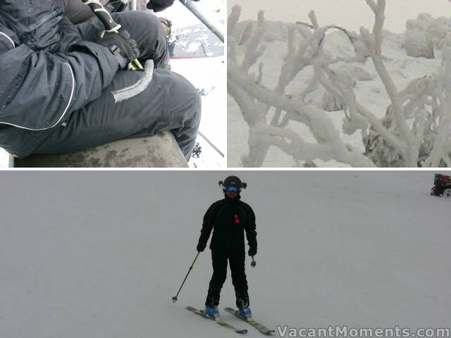 Frozen bits and lady Shrek on skis