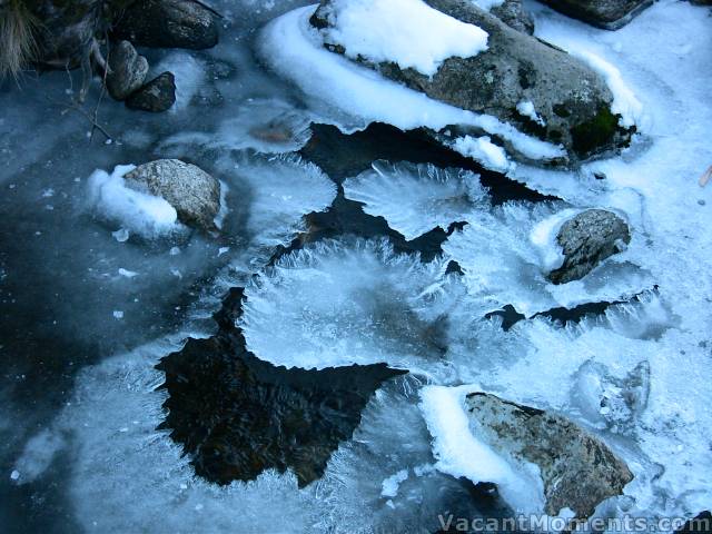 Amazing ice crystals on Bogon Creek