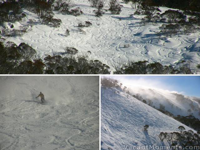 Swaggies, Wiamea, Powder Bowl to Stanleys