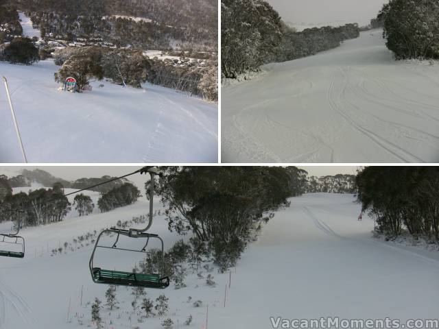 Milk Run, True Blue and below Bunny Walk station