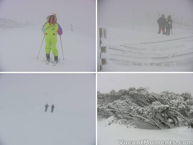 Sunday: Fashion lives, Sponars, Into the White Room, Hard life for high alpine trees