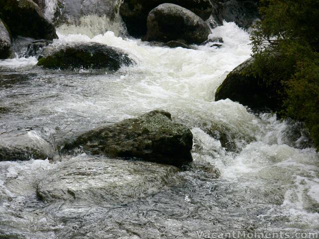 Bogong Creek rushing wild, like all the creeks and rivers