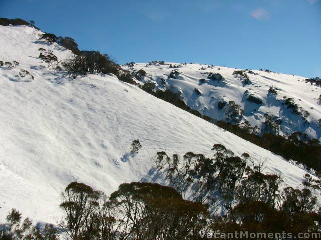 Powder Bowl