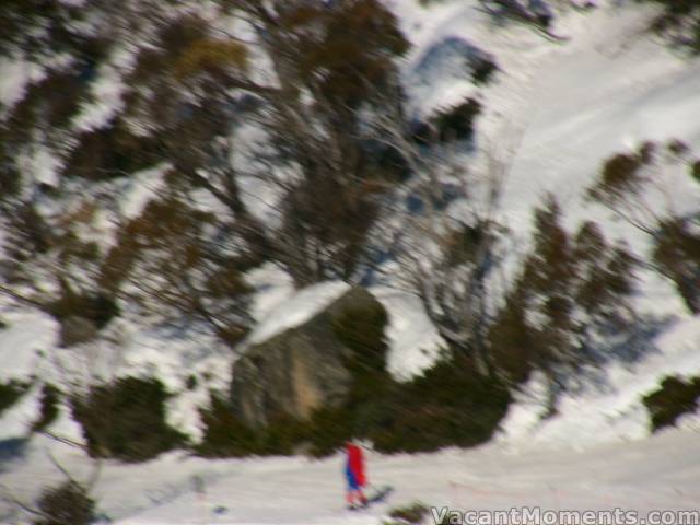 Faster than a speeding bullet  I was unable to get a focused shot of Superman as he blasted onto the Cat Walk.