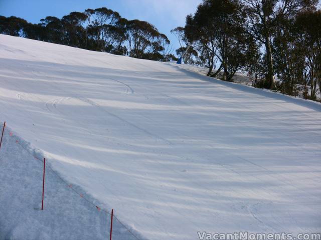 Sunday, like Saturday - The groomers were great but soft from the start