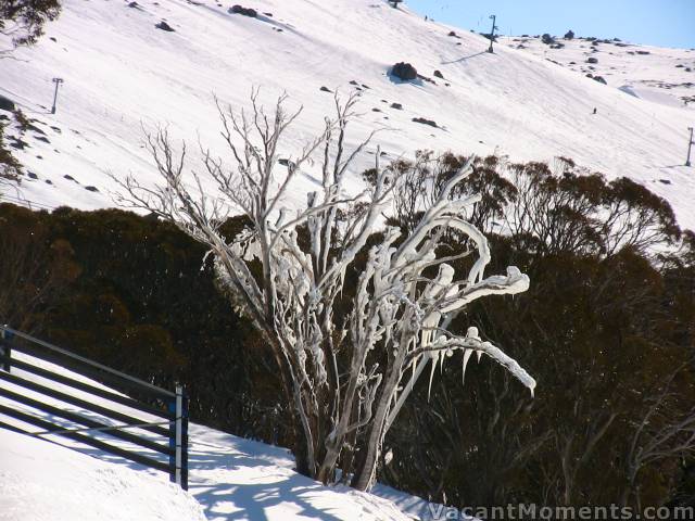 Snow making with an easterly breeze