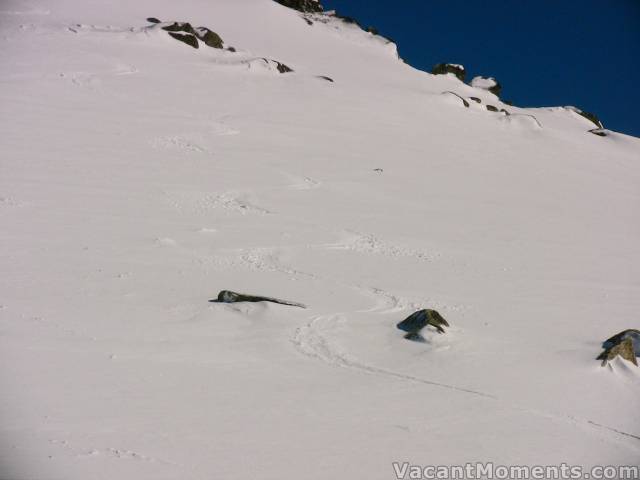 Freshies early on Saturday morning off Karels