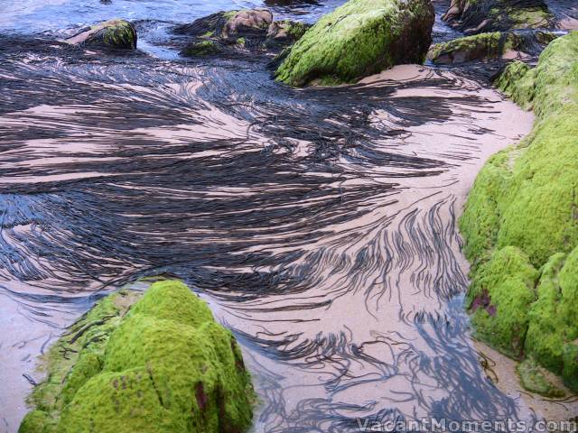 Amazing colours and textures