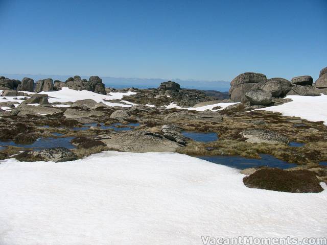 The frogs can be heard in the alpine ponds