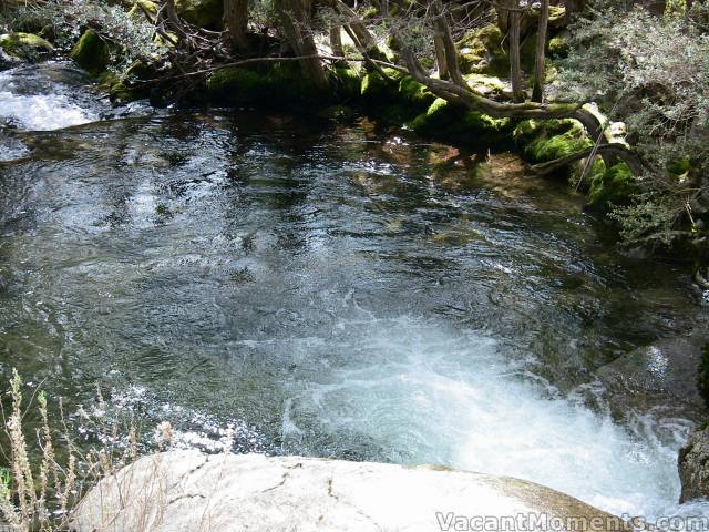 Rock Pool