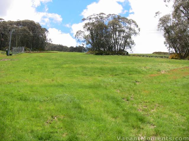 Lush green of the Milk Run