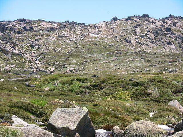 Last snow on Signature Hill