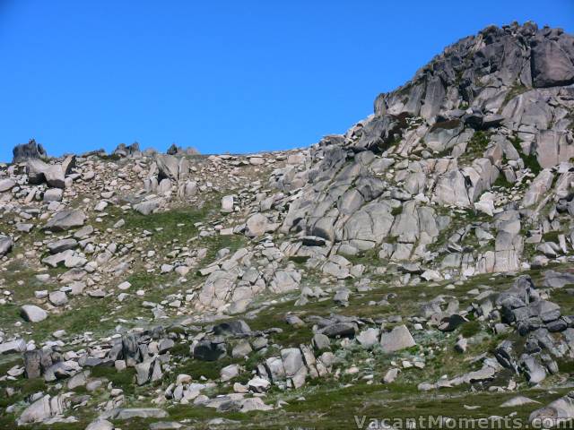 North face of Signature Hill in summer guise 