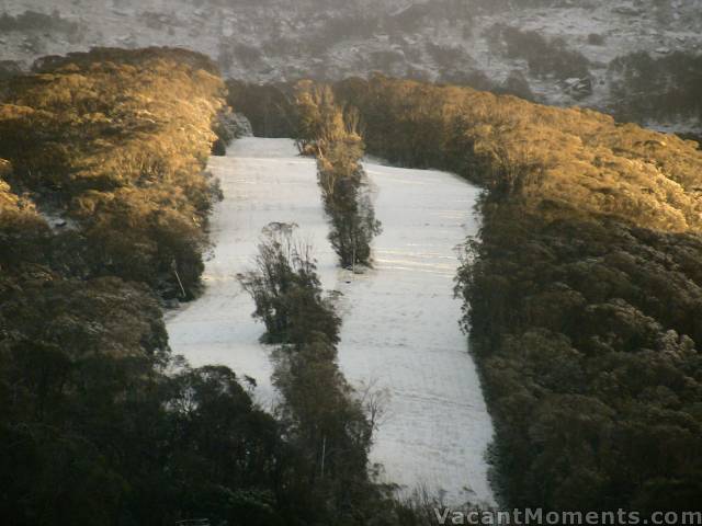 A dusting on warm grass