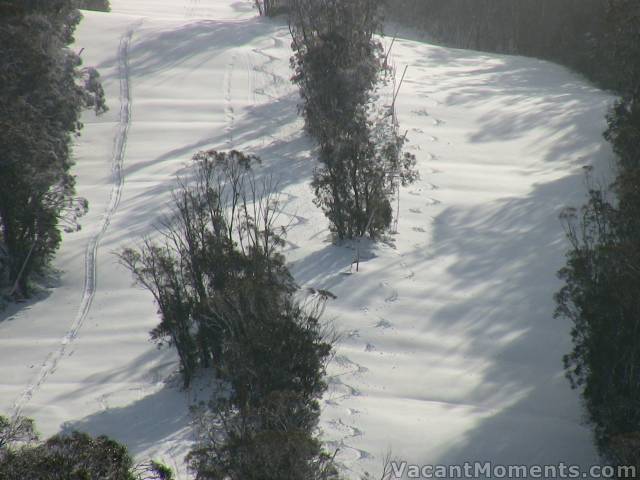 Perks of being in Ski Patrol ? High Noon at high noon