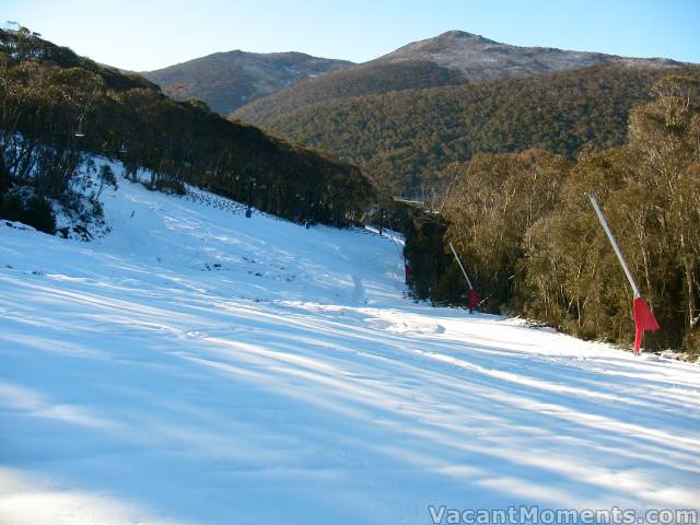 Looking down the new snow making area to Tower 10