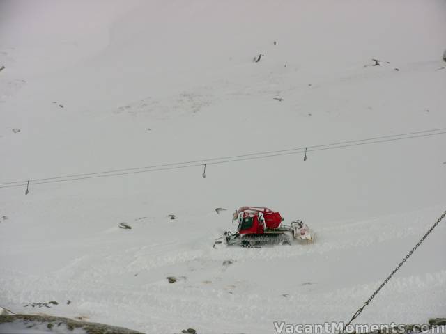 Cats preparing the Basin for today