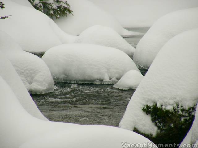 Bogong Creek