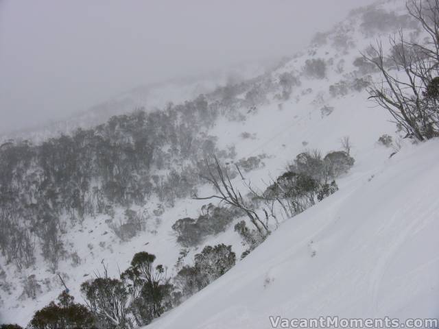 Looking across Kareela Face to Cannonball today