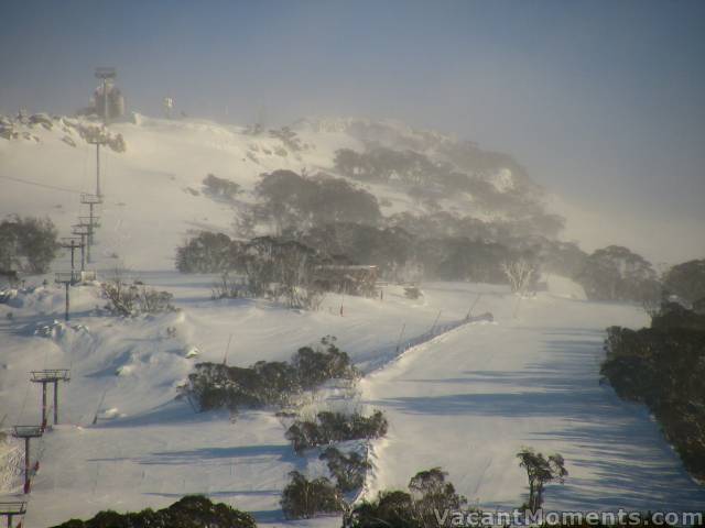 Freshies await us on Saturday morning