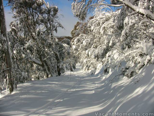 Not quite first tracks on Bunny Walk