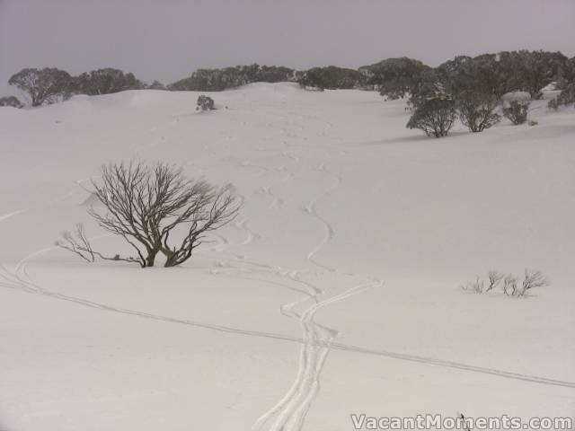 Saturday Peak on Monday