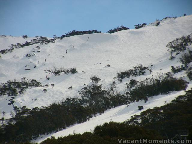 The course ran from right to left - photo taken after event