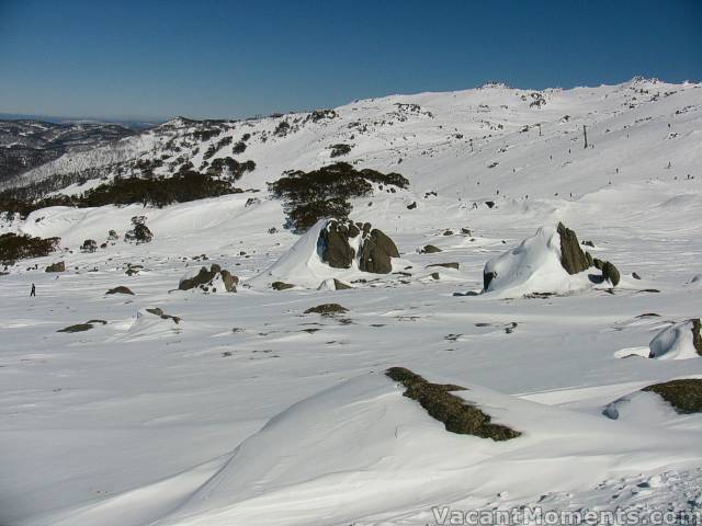 Looking south from the top of Wiamea