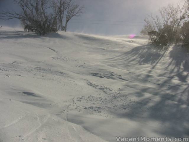 Wind blown and frosty bumps