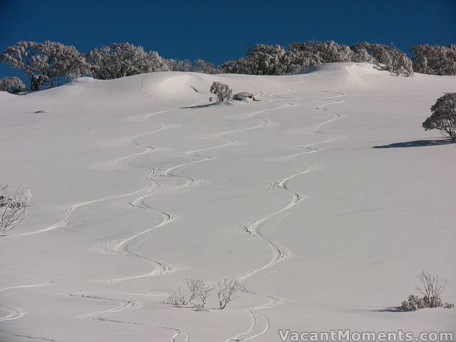 Saturday Peak on Thursday