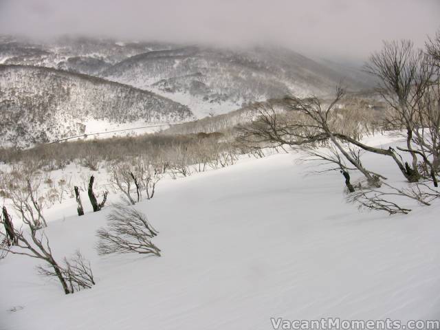 View to Dead Horse Gap