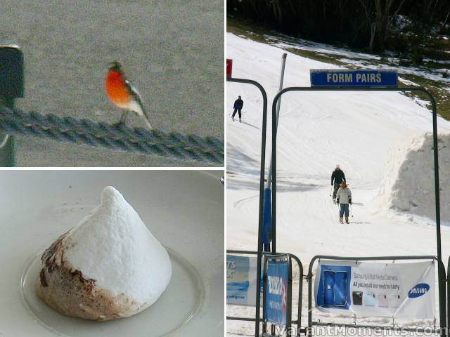 Flame Robin, marshmallow with red dust, bottom of Sundance