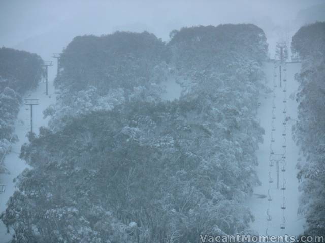 Snow on the trees at 6am this morning