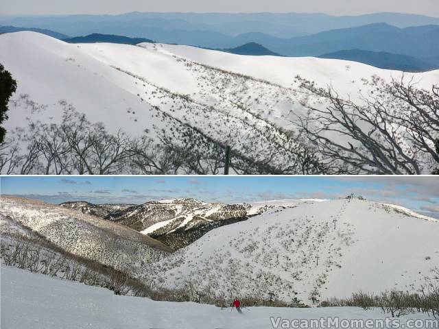 Bottom photo - Orchard area looking back to resort