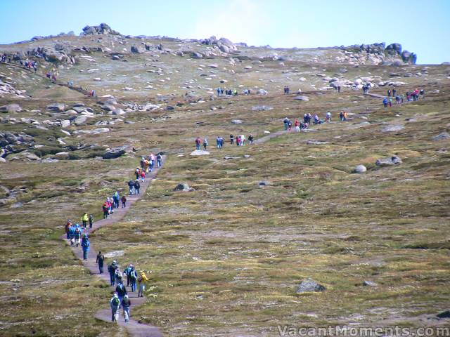 Huge crowds on the walking track out behind the resort on the main range