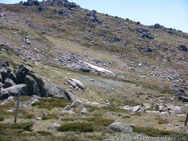 The last small patch of white on Summer Drift