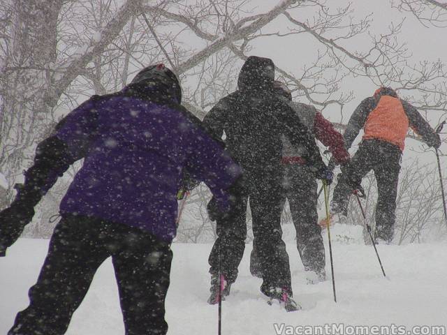 Rosco leads the merry band of powder hunters up another hill