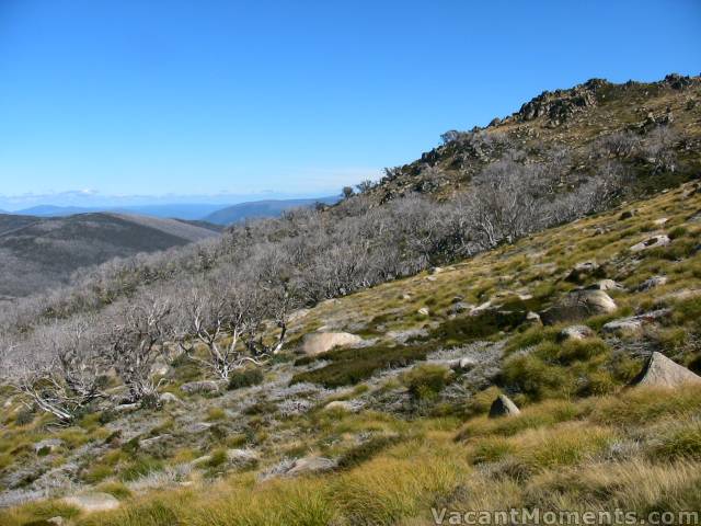 Looking towards Victoria, way beyond DHG