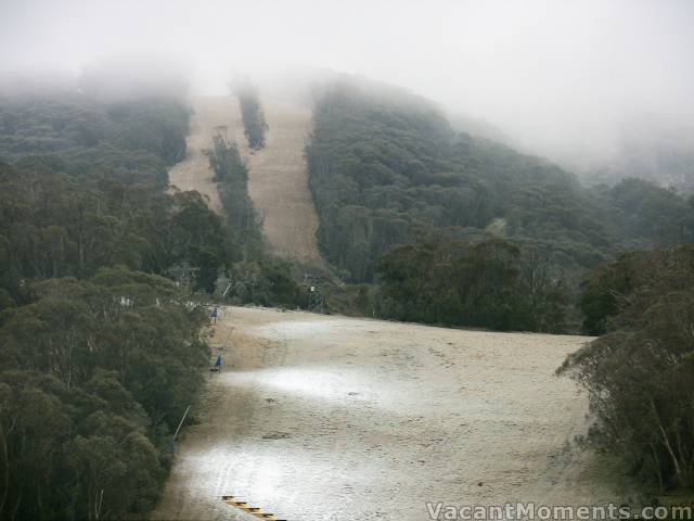 White spot disease - another alien in the national park?