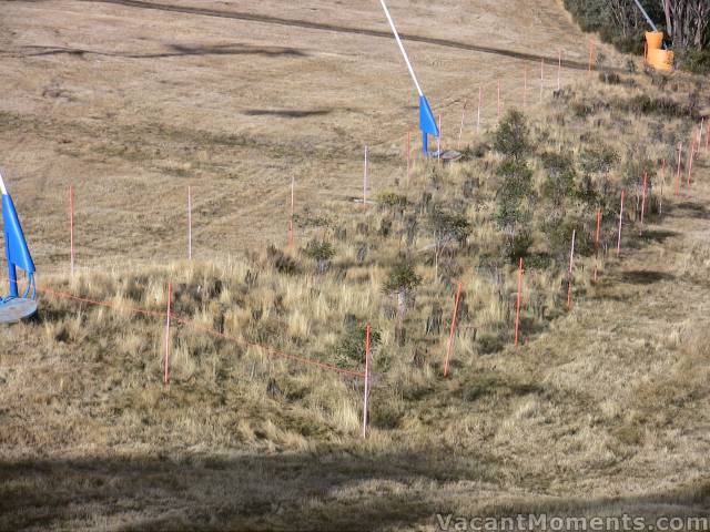 Saturday: The fences are up  all systems are 'go'  except for the white stuff