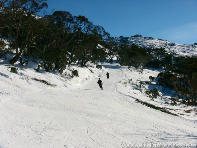 Top of Snowgums Saturday