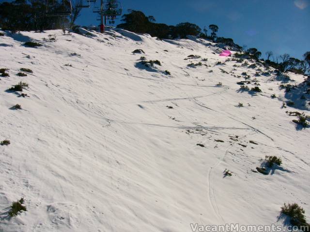 Zorro skis the Powder Bowl