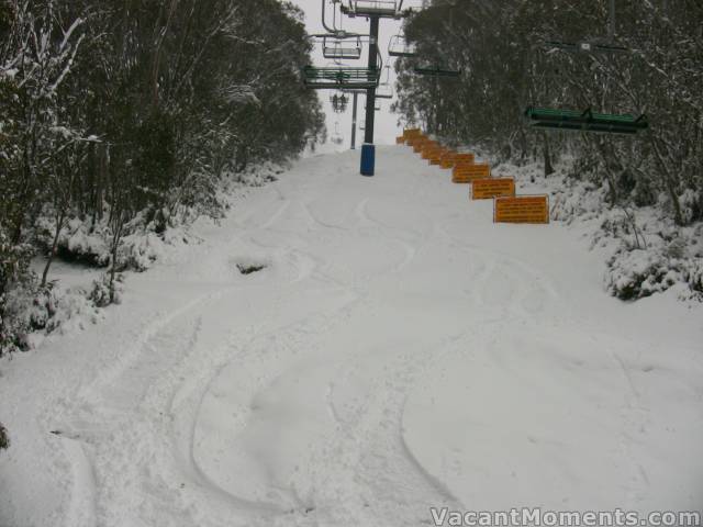 Fresh snow on a grass base