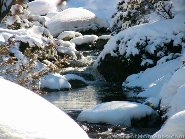 Bogong Creek