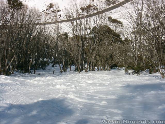 Descent to Dead Horse Gap bridge with frozen, breakable-crust ruts