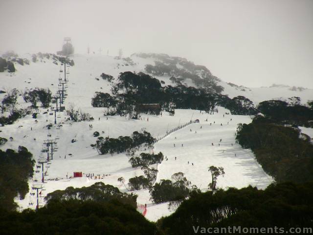 A clearing? - Upper Crackenback